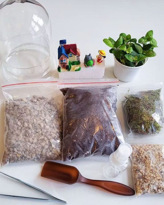 Terrarium workshop (2 hrs)